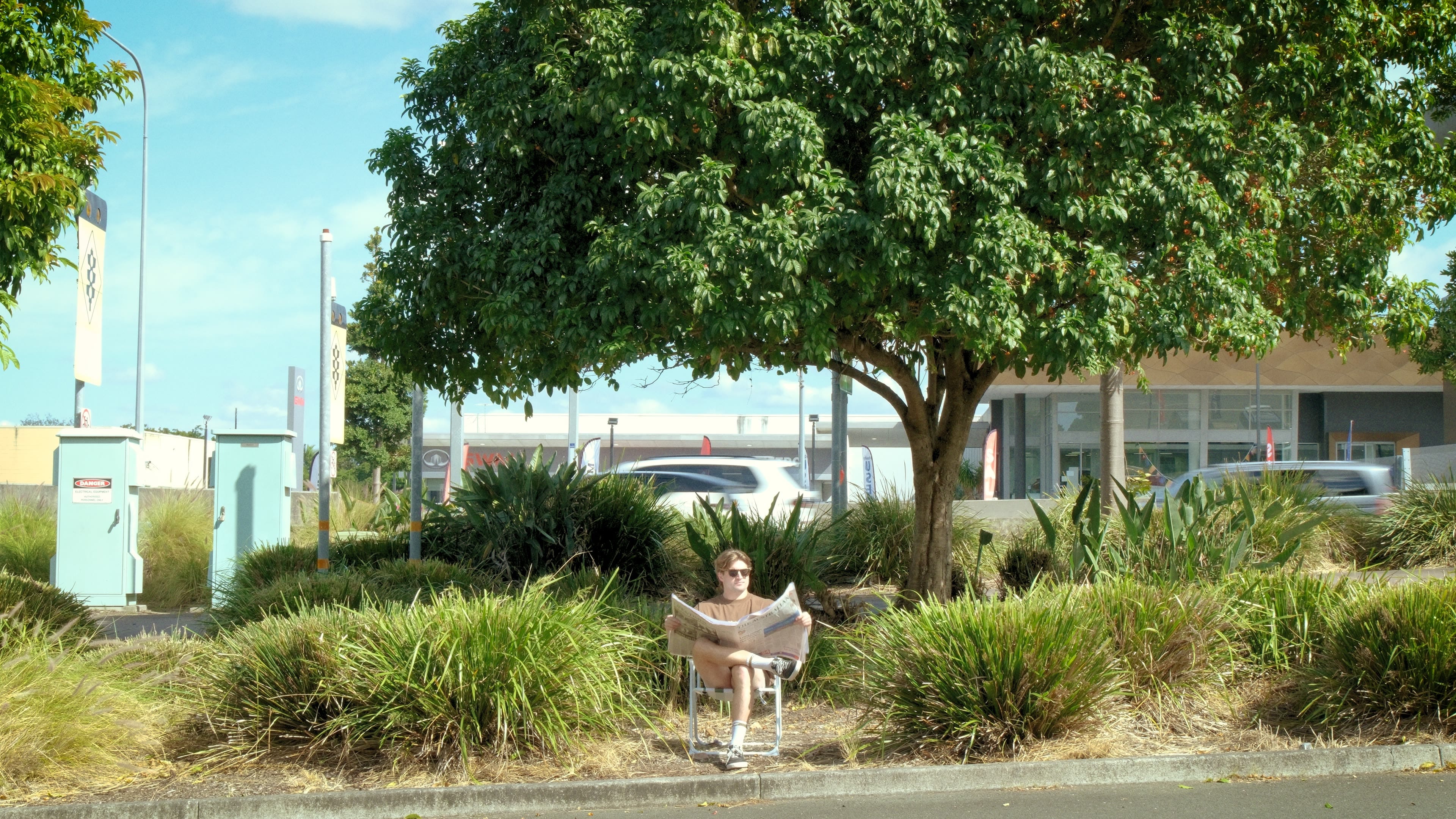 A man reads the paper in a folding chair on a grassy median strip under a big tree